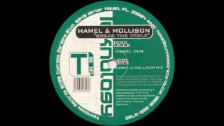 Hamel amp Mollison  Break The Cycle Hamel Dub [upl. by Ecirahc]