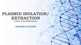 Plasmid Isolation Extraction with viva ques  PLASMID  MSc practical series  MSc microbiology [upl. by Starinsky]