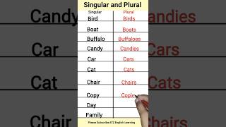 Singular vs Plural Class2 Grammar Showdown english ESLsingular plural singularvsplural learn [upl. by Darci68]