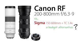 NEW Canon RF 200800 vs Sigma 150600 with TC 14x 210840mm [upl. by Akiehsal]