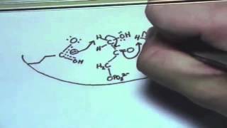 Triose Phosphate Isomerase [upl. by Blondell]