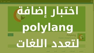 اختبار إضافة POLYLANG لموقع ووردبريس متعدد اللغات [upl. by Egwan]