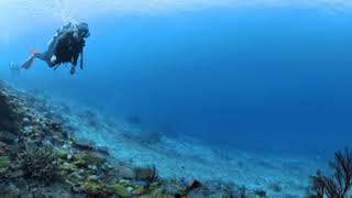 Explore underwater with me Great dive site by Tokashiki Island  move your phone to see around [upl. by Myk693]