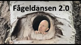 Fågeldansen 20 [upl. by Noskcire89]