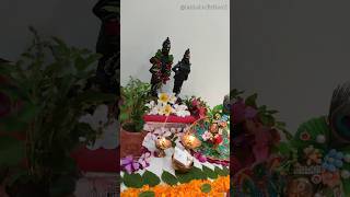 Kartik ekadashi devuthniekadashi tulsi tulsivivah shorts ytshort trending viralvideokrishna [upl. by Nosilla]