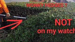 How to straighten up Hedges [upl. by Ecydnak]