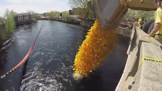 19th annual Pawcatuck River Duck Race [upl. by Yanad]