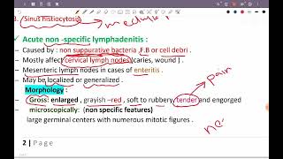 L1 patho Nonneoplastic LN enlargement HPS 43 [upl. by Jacynth981]