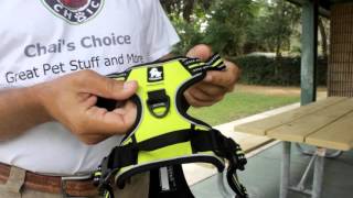 Best Harness For Dogs [upl. by Florance]