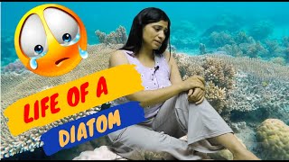 Ritu Rattewal  Life Of a Diatom unacademy riturattewal study [upl. by Itsirk]