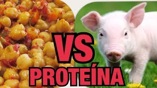 DIFERENCIAS ENTRE PROTEÍNA ANIMAL Y VEGETAL  QUÉ ALIMENTOS TIENEN PROTEÍNA VEGETAL VEGANA [upl. by Jeremie148]