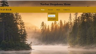 How to make Dropdown Menu with Html and Csscoding dropdownmenu htmlelement css [upl. by Pirri566]