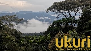 Magic in Nyungwe National Park Rwanda [upl. by Effie586]