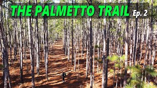 Solo Backpacking 120 Miles on The Palmetto Trail in South Carolina \ Episode 2 of 2 [upl. by Ainival]