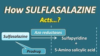 How Sulfasalazine acts  A sulfonamide with unique action [upl. by Saidnac523]