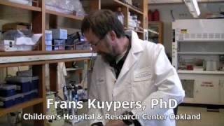 Childrens Hospital Oakland  Research Institutes Placenta Stem Cell Finding [upl. by Loseff436]