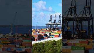 DP world Caucedo caucedo republicadominicana moisesarias [upl. by Neeloj]