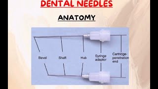 Needle anatomy local anesthesia part 1 [upl. by Sutton]