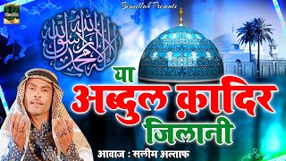 गौस पाक की शानदार क़व्वाली  Ya Abdul Qadir Jilani  Saleem Altaf  2020 Gyarhvi Sharif Ki Qawwali [upl. by Schiff]