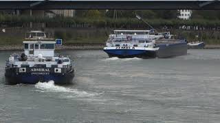 Shipspotting  mts ADMIRAL Zwijndrecht [upl. by Stearns]