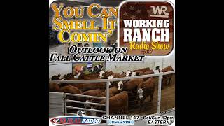 Ep 137 You Can Smell It Comin’… Outlook on Fall Cattle Market [upl. by Allesor]