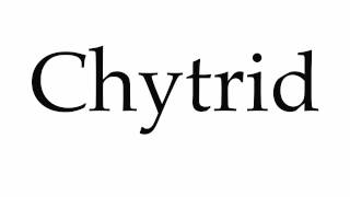 How to Pronounce Chytrid [upl. by Yclehc]