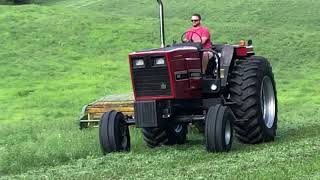 IH 3088 mowing hay [upl. by Tibbs]