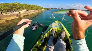 Florida Keys Multispecies Fishing  Lots of BITES and Caught A Limit [upl. by Levitt542]