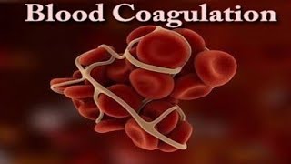 Blood Clotting in Animation ll Coagulation of Blood 🩸🩸 ll Animation Video 🩸💥🩸 [upl. by Enna]