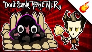 A Beginners Guide To MOLEWORM FARMS In Dont Starve Together [upl. by Nanda]