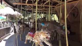 The Low Family on San Diego Zoo Safari Park Merry Go Round [upl. by Akiehsal]