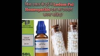 ledum pal homeopathic medicine use in hindi  ledum pal  ledum palustre  ledum pal कैसा दर्द मे दे [upl. by Ynneg]