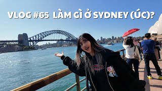 VLOG 65 LÀM GÌ Ở SYDNEY ÚC  duongfynn [upl. by Enylecoj]