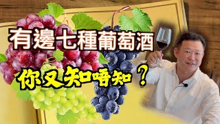 紅酒入門  紅酒知識 Wine Knowledge  7種葡萄酒你飲過邊種  紅酒知識 第二集   品酒  認識葡萄酒 [upl. by Lap696]