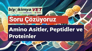 BİYOKİMYA I  Soru Çözüyoruz Amino Asitler Peptidler ve Proteinler [upl. by Lonnie277]