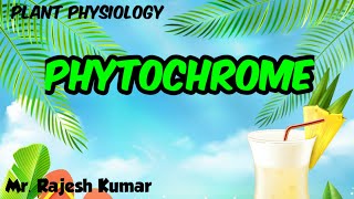 Phytochrome Plant PhysiologyCSIR NET in Hindi [upl. by Alleram]