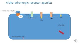 Nasal decongestant [upl. by Ziom]