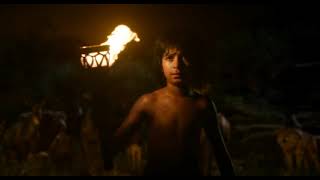 The Jungle Book 2016 sharekhan fight baloowovles and bagheera Hollywood movie clips [upl. by Nosecyrb584]