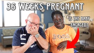 36 WEEKS PREGNANT APPOINTMENT  IS THE BABY ENGAGED WE ARE SO CLOSE [upl. by Sorensen]