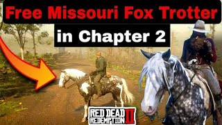 How to Get Rare Missouri Fox Trotter From Saint Denis Stables in Chapter 2 For Free Glitch [upl. by Kcire]