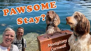 MEVAGISSEY Cornwall  A 24hr Dog Friendly stay [upl. by Weidman]