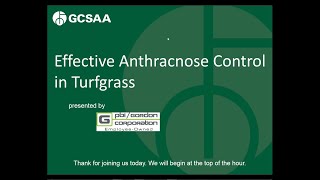 Effective Control of Anthracnose in Turfgrass [upl. by Lesley]