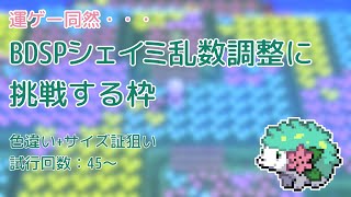 シェイミ乱数やる 45～ 【ポケモンBDSP】 [upl. by Landrum31]