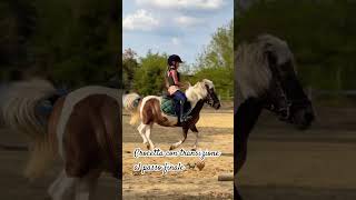 Crocetta con transizione al passo finale Non ci fermiamo mai ♥️ cavallo equitation horse [upl. by Carny]