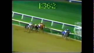 1979 Meadowlands Cup  Spectacular Bid [upl. by Esinrahs310]