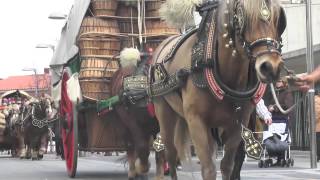 Passada Sant Antoni Abat 2015 Sant Quirze del Vallès [upl. by Avehsile820]