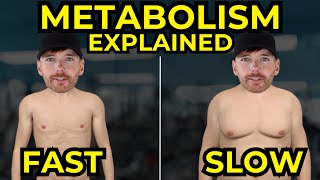 Do Slow Metabolisms Exist What Does The Science ACTUALLY Say [upl. by Anairo58]