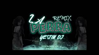 LA PERRA REMIX • YesTin Dj➕ [upl. by Elleniad]