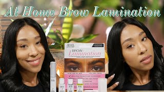 My First Time Laminating My Brows Ardell Professional Eyebrow Lamination [upl. by Hawley]