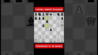 Latvian Gambit Accepted Checkmate in 10 moves chess [upl. by Ruphina]